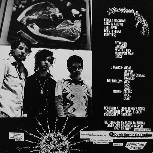 Dinosaur CD Inside Sleeve